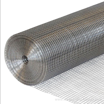 galvanized bird cage welded wire mesh roll